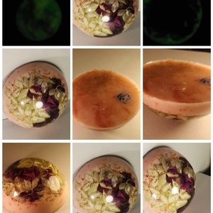 Red and white flower season with a great glow